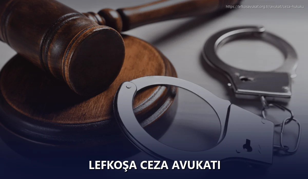 Lefkoşa Ceza Avukatı